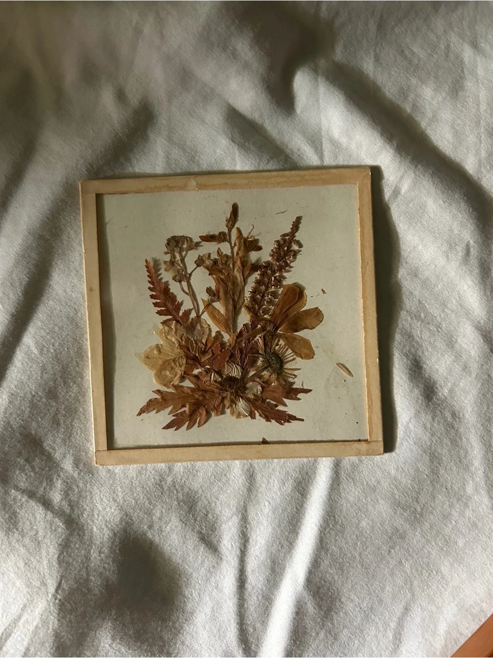 Vintage Framed Dried Floral Wall Art Collqge